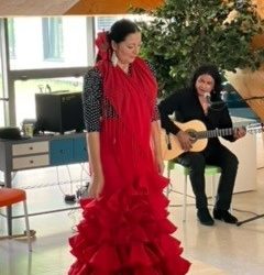 Flamenco à Bossège
