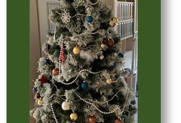 La recette d’un Noël chaleureux à Bossège