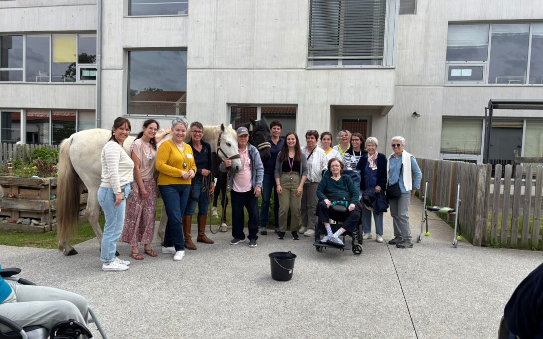 Quand les chevaux entrent à l’EHPAD : un moment de médiation animale inoubliable aux Arriouets