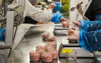 Maison Saint Jean lance son site internet : une nouvelle étape au service de l’inclusion et du savoir-faire
