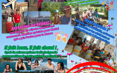 NEWSLETTER JUILLET 2026